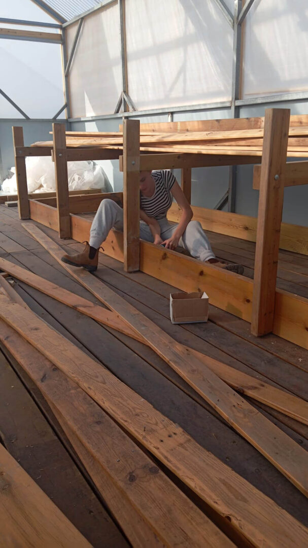 לבנות הכל מחדש